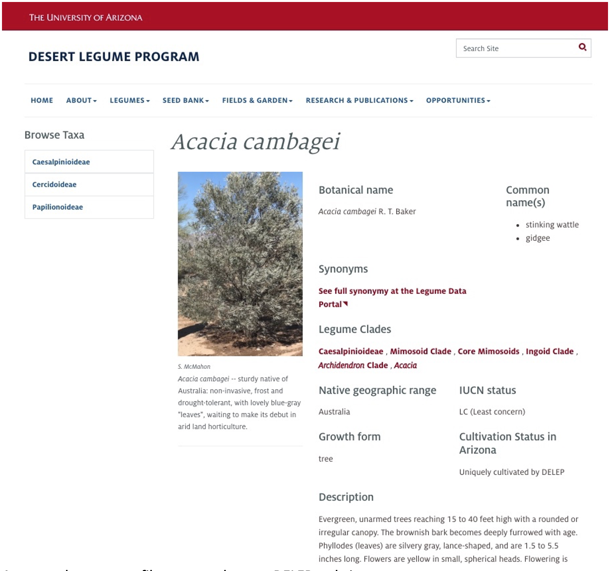 Desert Legume website 2