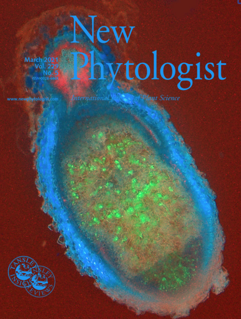 New Phytologists 229